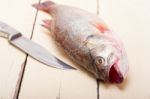 Fresh Whole Raw Fish Stock Photo