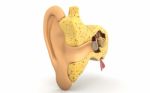 Ear Stock Photo