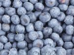 Blueberries Background Stock Photo