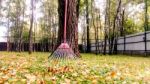 Fall Leaves And Yard Work Stock Photo