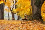 Autumn October Colorful Park. Foliage Trees Alley Stock Photo