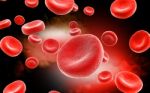 Red Blood Cell  Stock Photo