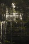 Russell Falls In Mount Field National Park Stock Photo