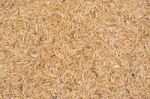 Rice Husk Stock Photo