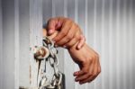 Hand In Jail Stock Photo