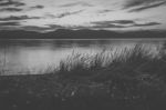 View Of Bruny Island Beach During The Day Stock Photo