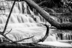 Liffey Falls In The Midlands Region, Tasmania Stock Photo