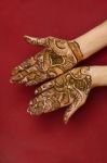 Mehandi Stock Photo