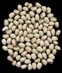 Pistachios Stock Photo