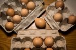 Eggs Poultry Concept Stock Photo