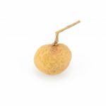 Longan Isolated On A White Background Stock Photo