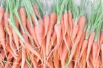 Fresh Baby Carrots Bunch On Sell Stock Photo