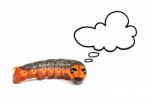 Orange Caterpillar Thinking Isolated On White Background Stock Photo