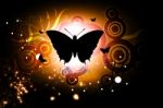 Butterfly  In Abstract Background  Stock Photo