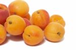 Armenian Plums (prunus Armeniaca) Stock Photo