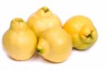 Fresh Quince Fruit Stock Photo