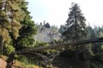 Cragside And Iron Bridge Stock Photo