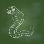 Hand Drawing Snake On Green Board - Illustration Stock Photo