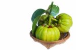 Still Life With Fresh Garcinia Cambogia On Wood Basket. Isolated Stock Photo