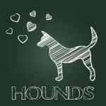 Hound Dog Indicates Dogs Canines And Hounds Stock Photo