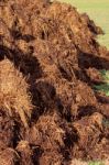 Manure For Organic Farming Stock Photo