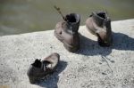 Iron Shoes Memorial To Jewish People Executed Ww2 In Budapest Stock Photo