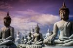 Lot Of Buddha Statue Stock Photo