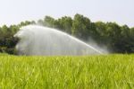 Sprinkler Watering The Grass Stock Photo