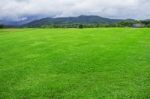 Lawn With Sky Background Stock Photo