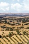 Alentejo Landscape Stock Photo