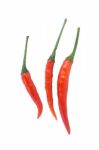 Red Chili On White Background Stock Photo