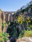 Ronda, Andalucia/spain - May 8 : View Of The New Bridge In Ronda Stock Photo