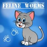 Feline Worms Indicates Domestic Cat And Cats Stock Photo