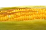 Corn Stock Photo