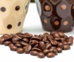 Special Coffee Beans Shows Drink Delicious And Decaf Stock Photo