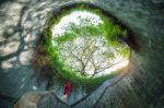 A Woman At Fort Canning Park, Singapore Stock Photo