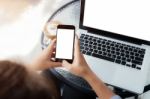 Woman Using Phone On Work Table In Coffee Shop Stock Photo