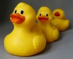 3 Rubber Ducks Stock Photo