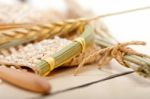 Organic Barley Grains Stock Photo