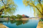 Gyeongbokgung Palace In Spring,korea Stock Photo