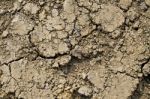 Dry Agricultural Brown Soil Background Stock Photo