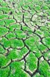 Green Grass On Cracked Earth Stock Photo