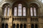 Interior View Of The Natural History Museum In London Stock Photo