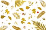 Background By Yellow Leaves And Orange Leaves And Dry Leaves And Flower Stock Photo