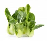 Organic Bok Choy Isolated On White Background Stock Photo