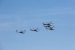 Mi-28n (havoc) Attack Helicopters Of Aerobatic Team Berkuty Fly Stock Photo