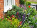 Beautiful Flowers In A Garden In Southwold Stock Photo