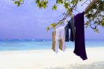 Clothes Of Tourism On Tree Branch Stock Photo