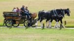 People Enjoying A Horse And Carriage Ride Through Southwold Stock Photo