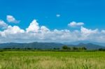 Trees And Mountains On A Bright Sky Stock Photo